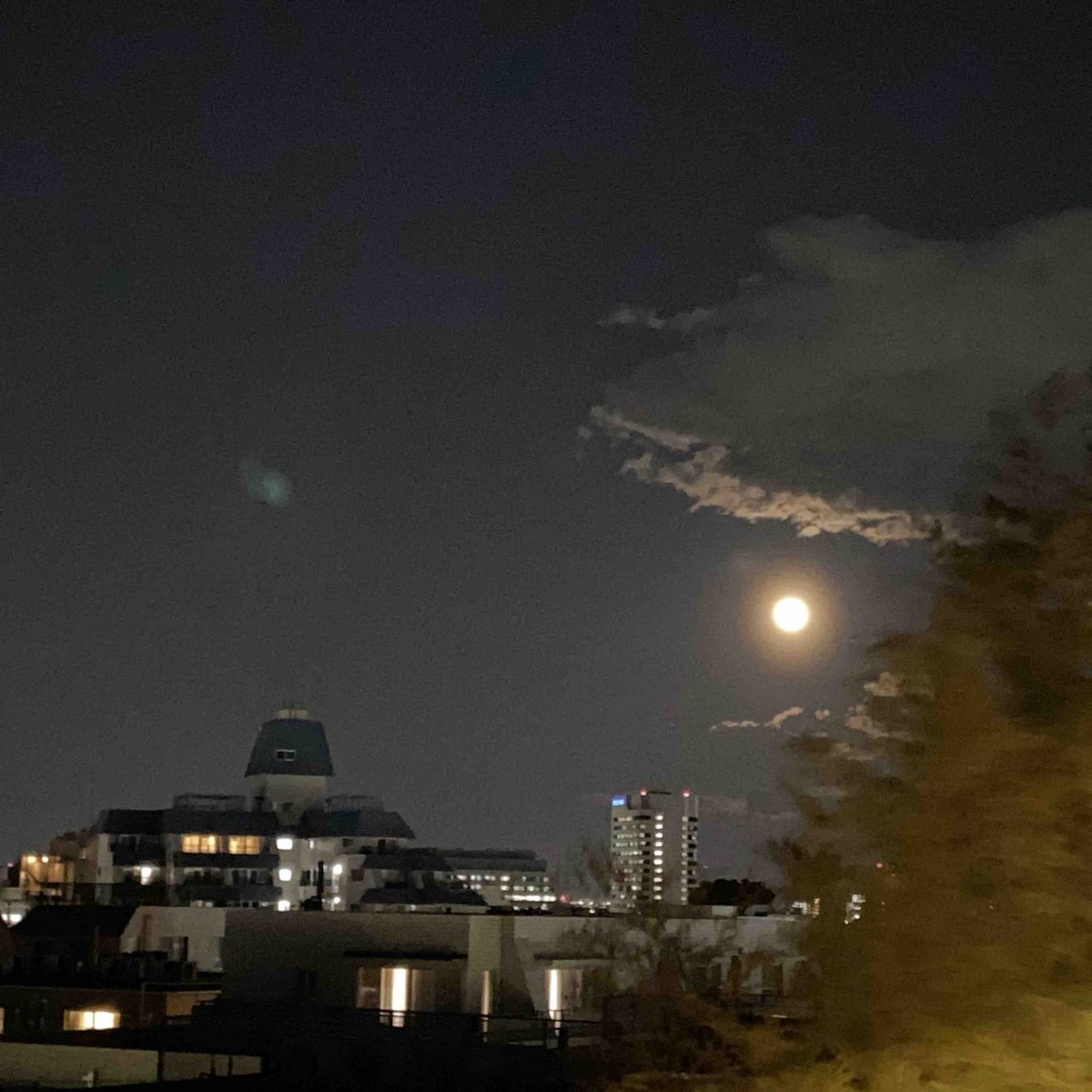 やんてら めぇ〜 tweet media