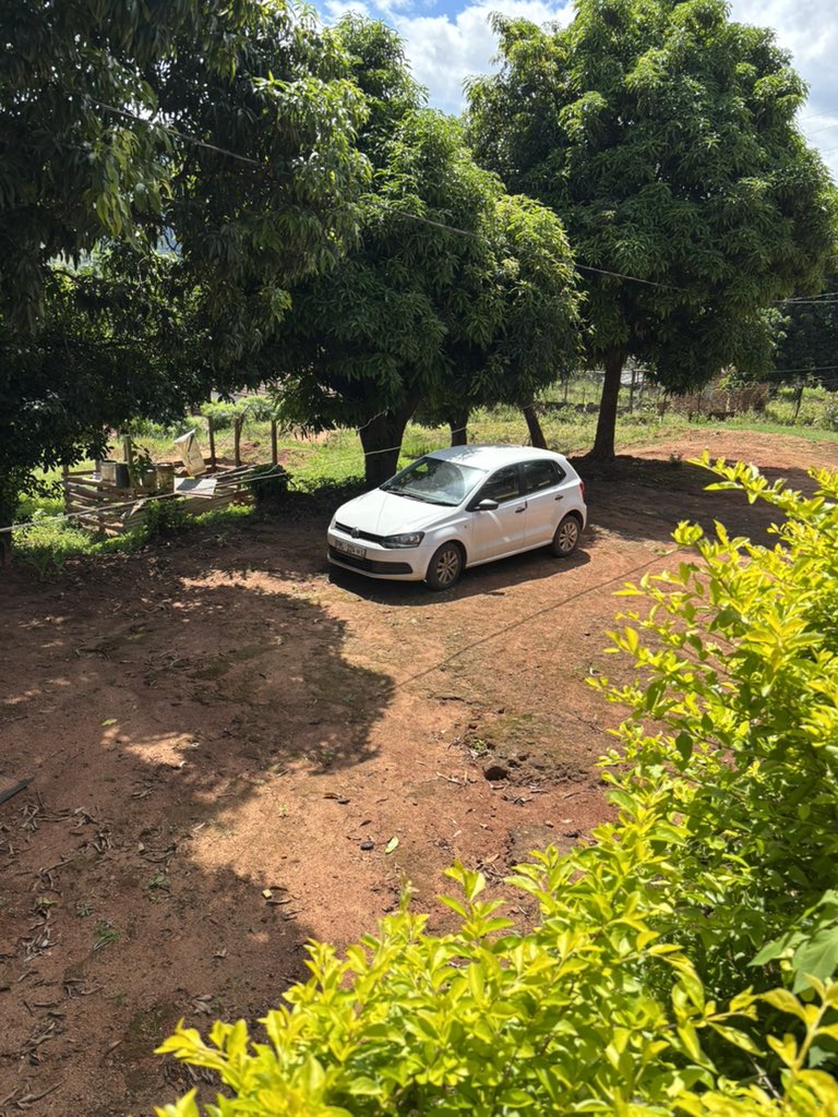 Katlego Mdouva Matlou tweet media