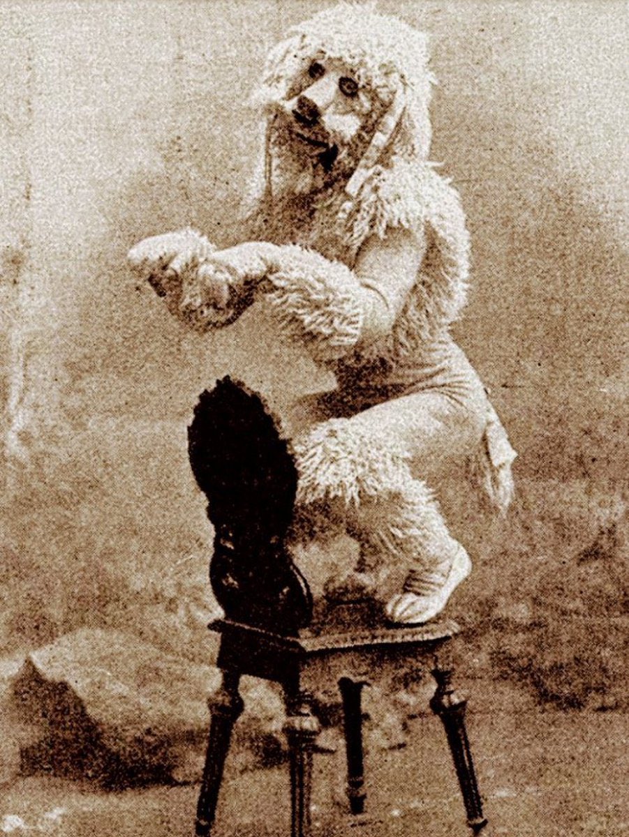 𝓟𝓻𝓪𝓲𝓼𝓮 🏂 tweet media