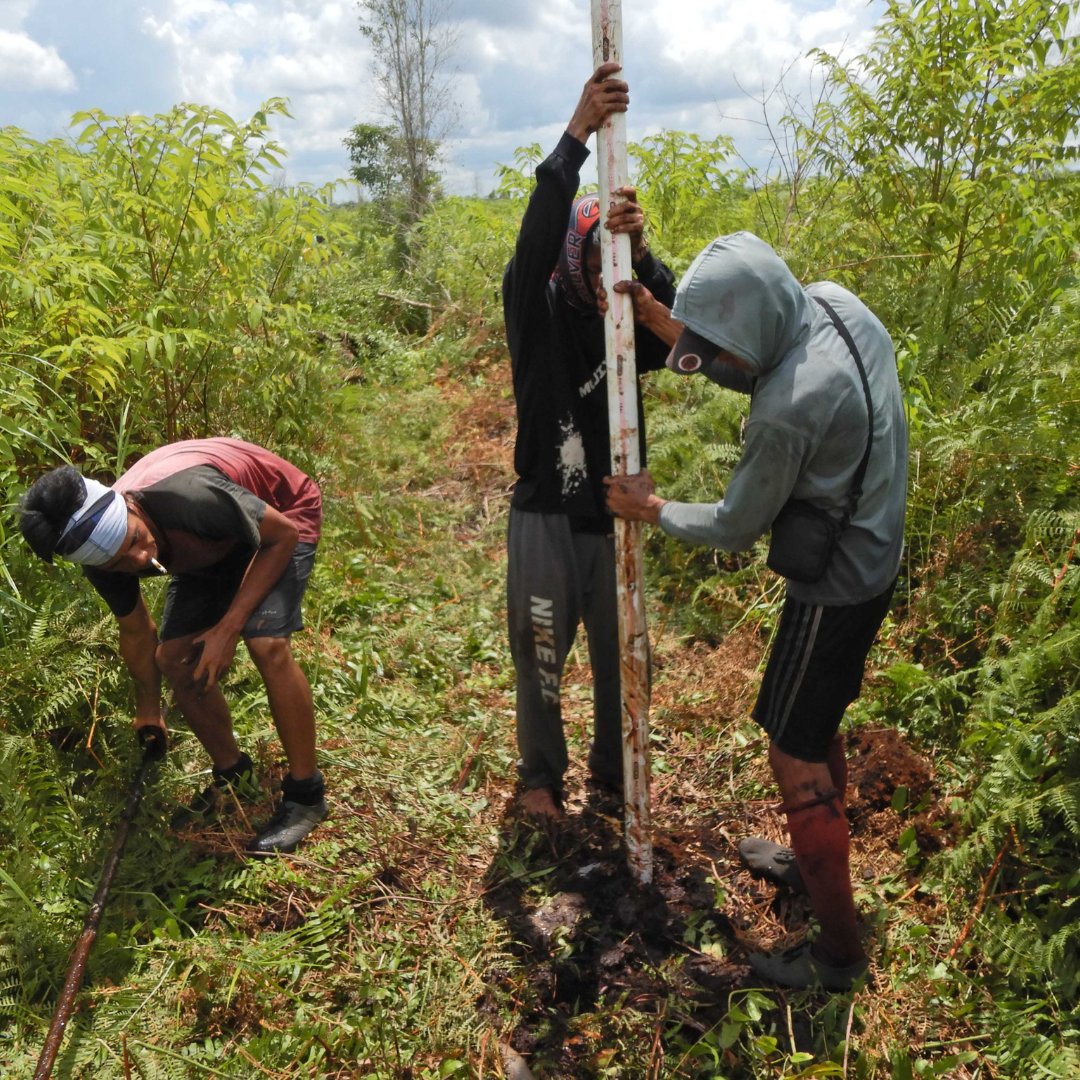 Katingan Mentaya Project English tweet media