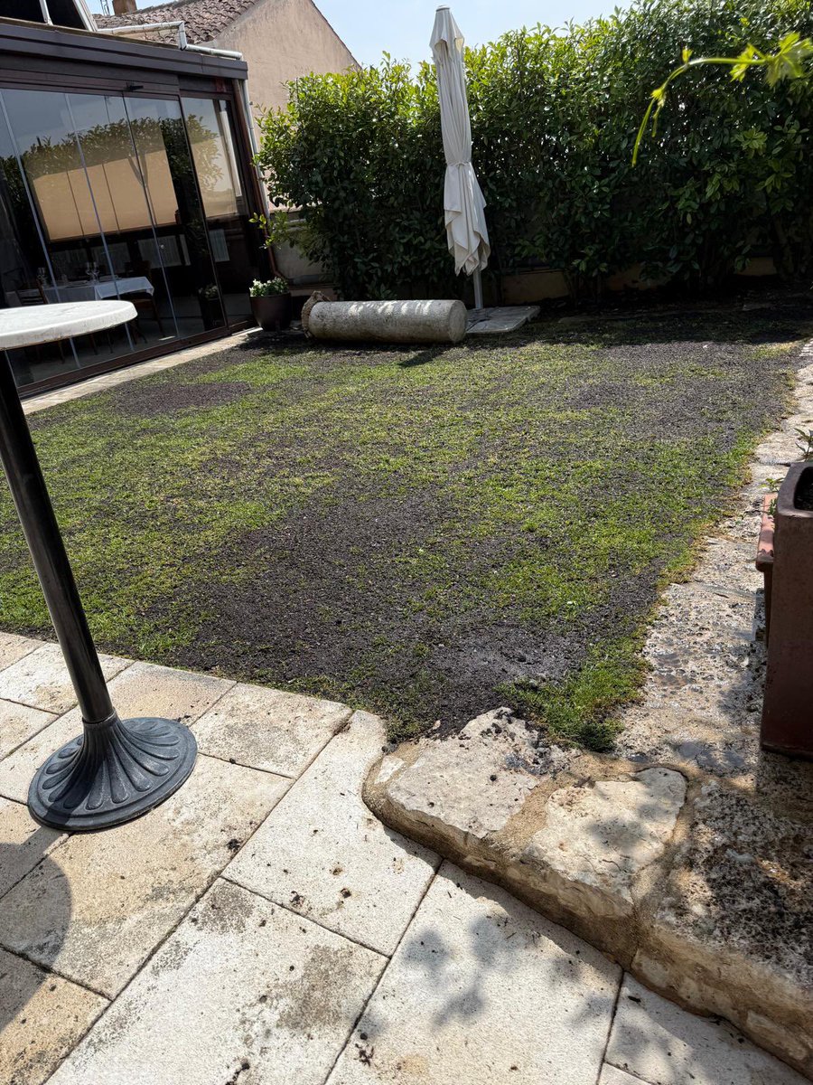 Jardinería - Época de siembra y resiembra … 
 #ViverosBoecillo #ViverosRabadanYCalleja
#PrispalGarden
#AhoraFloresYPlantas