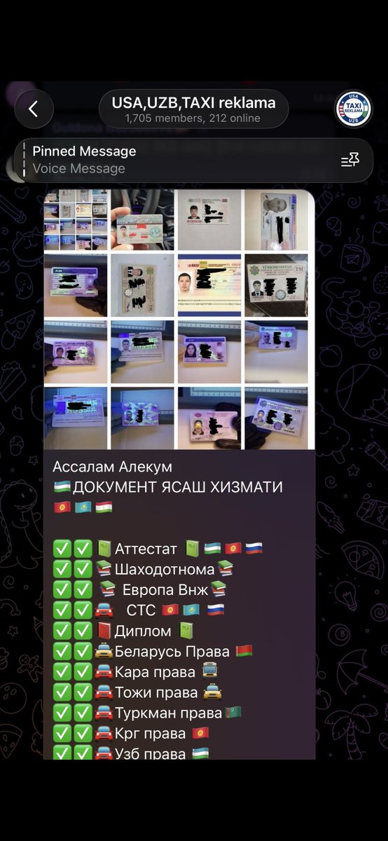 NODAWOLF ❕❕❕ tweet media