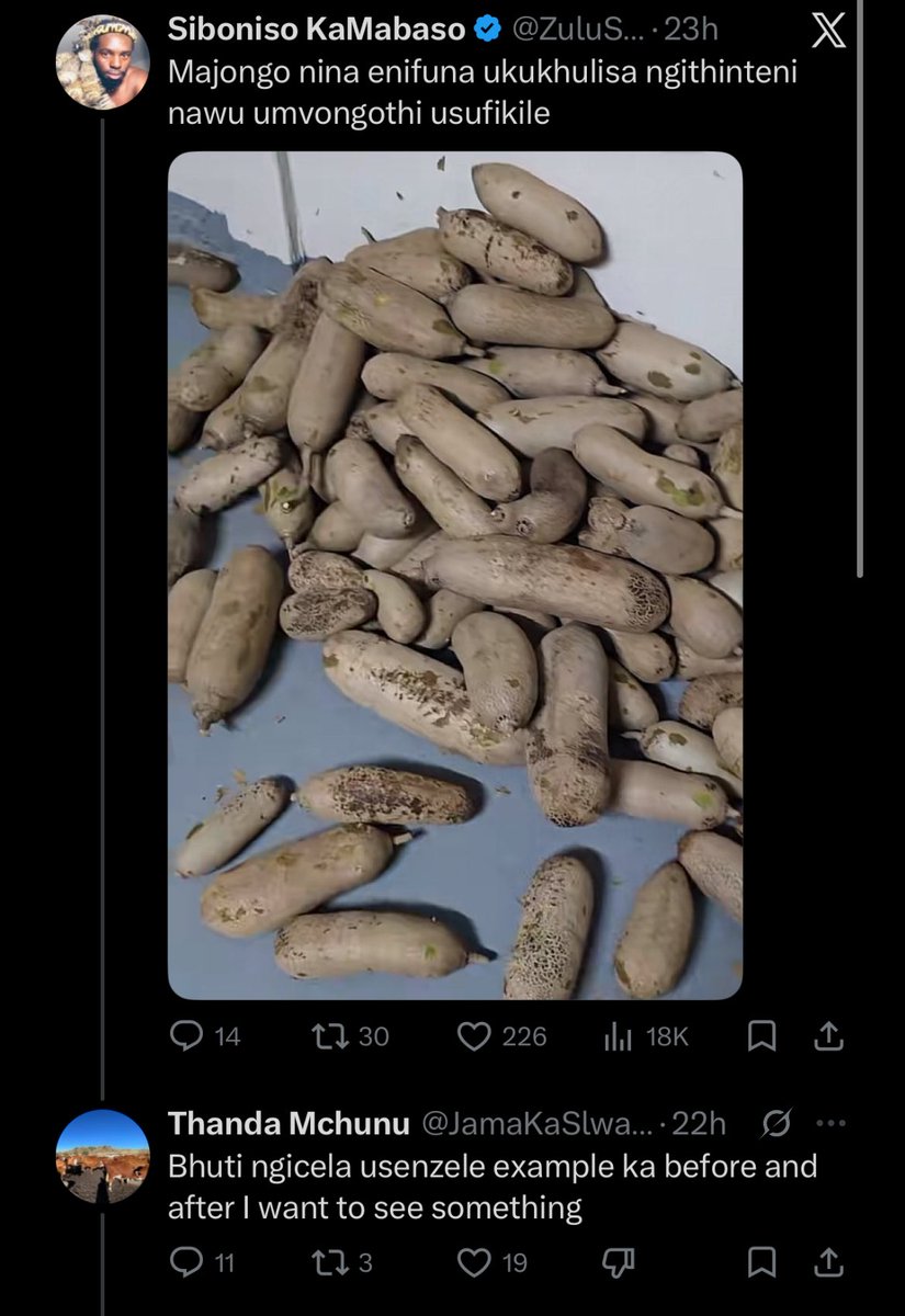 Miss Ziprusha tweet media