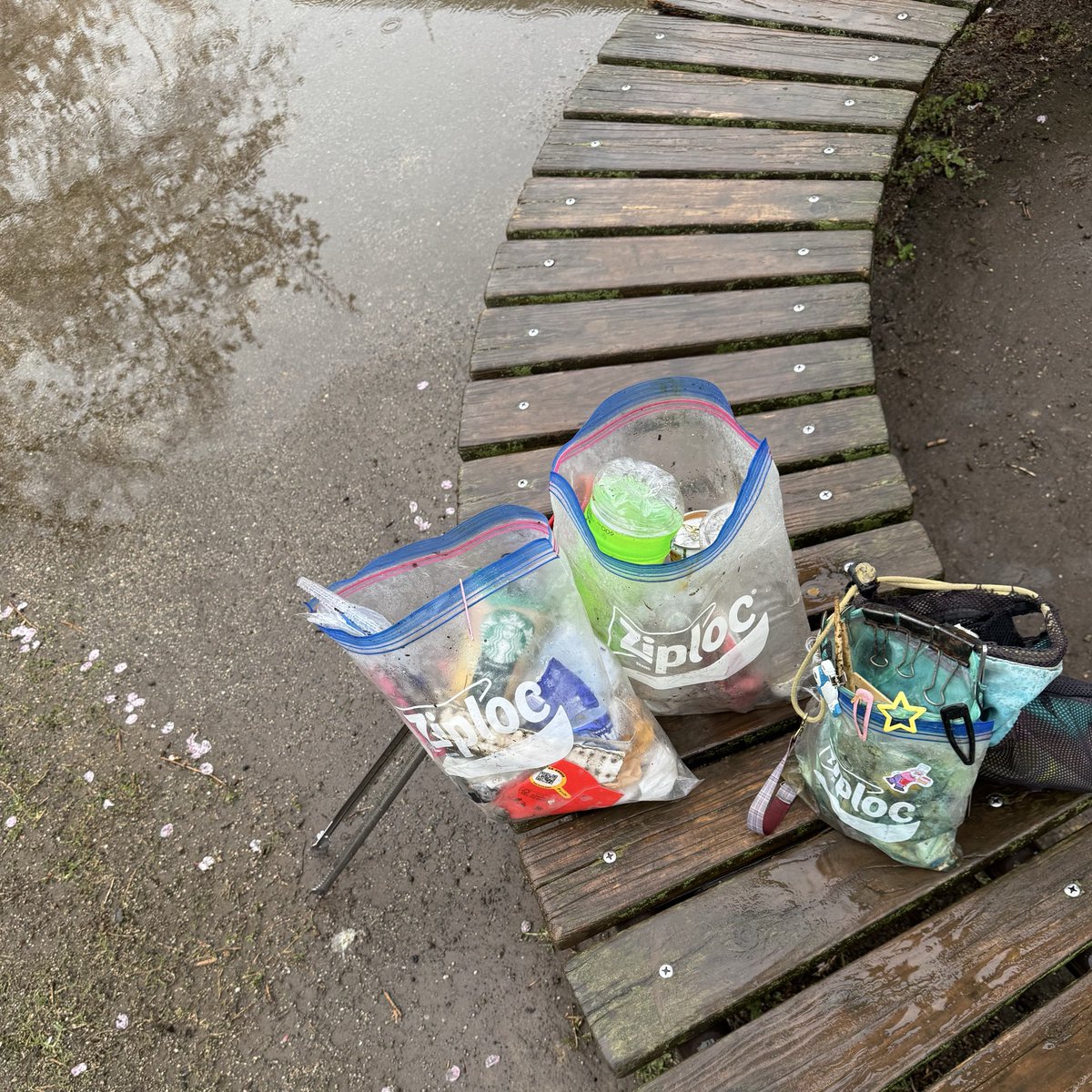 10月の流星 tweet media