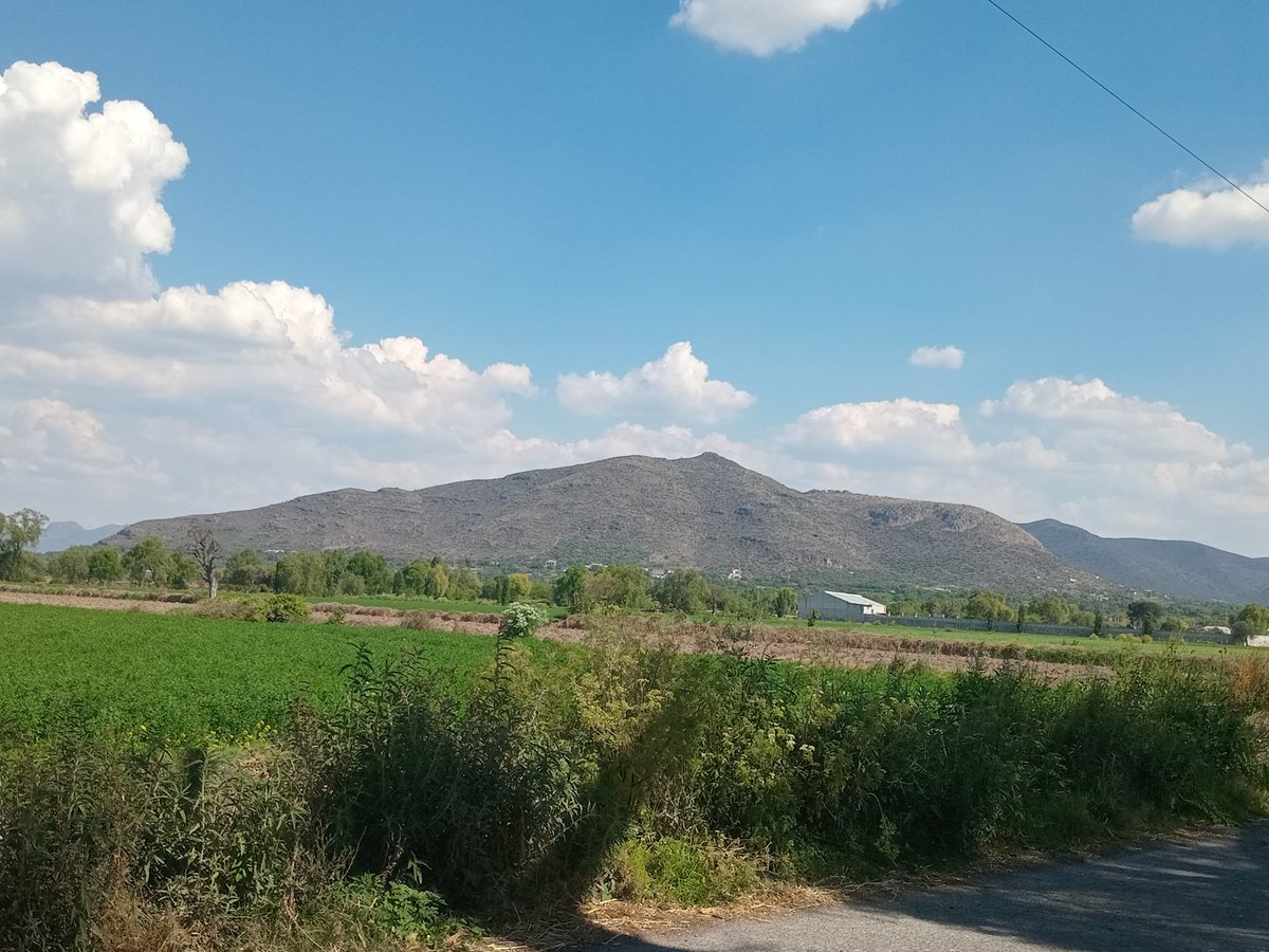 marcos sanchez valencia🇲🇽🇲🇽 tweet media