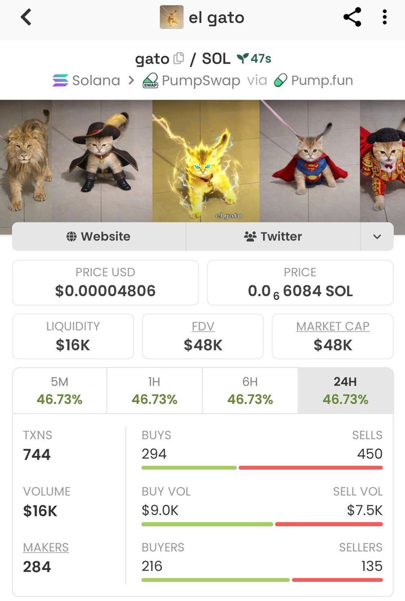 WILD $OL👑 tweet media