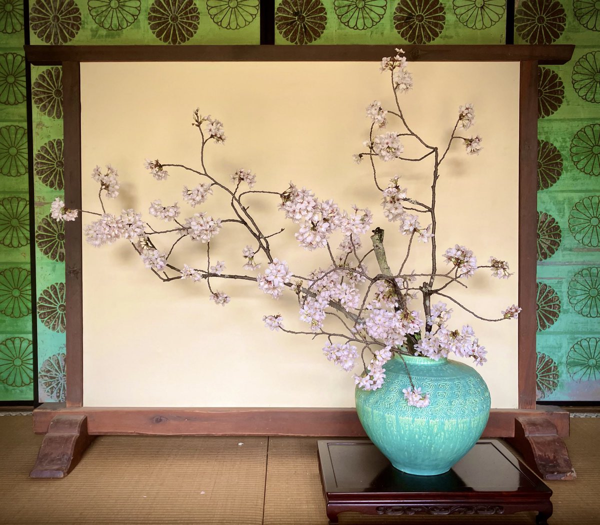 新緑の特別公開　4月25日(土)〜5月6日(水)☘️