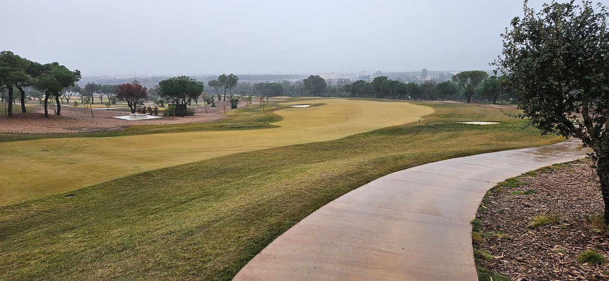 Richard Fortmuller tweet media