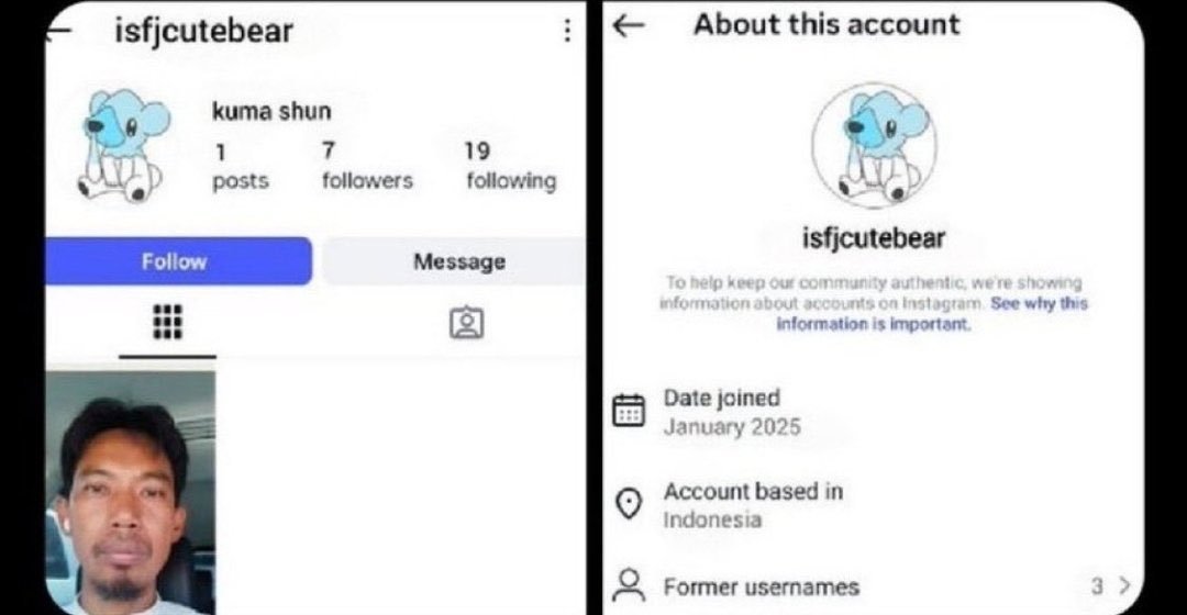 マジュニア(piccolo) tweet media