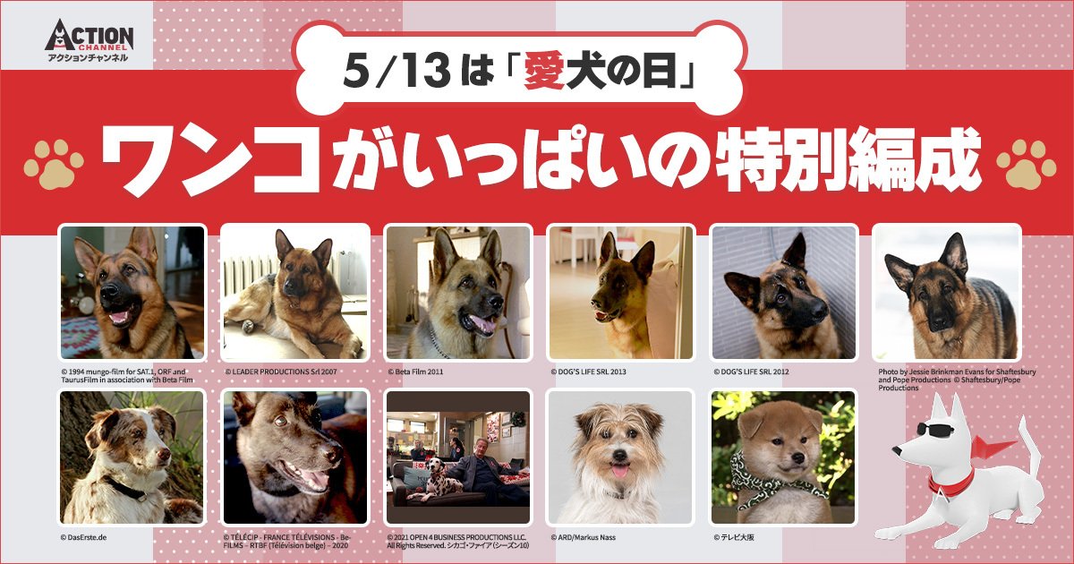 アクションチャンネル(旧AXN 海外ドラマ) tweet media