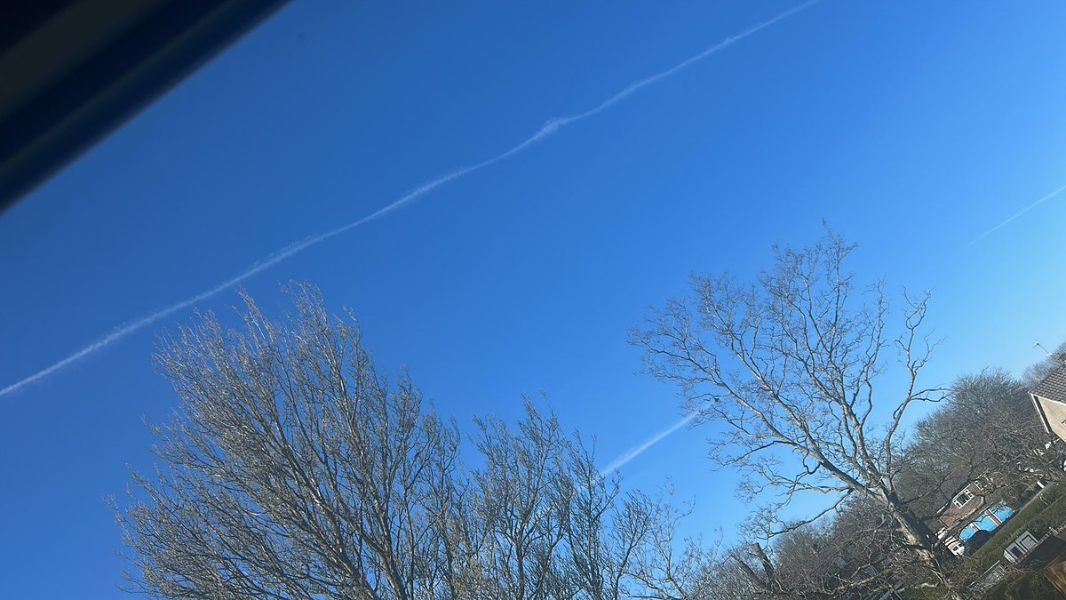 Martin Geddes tweet media