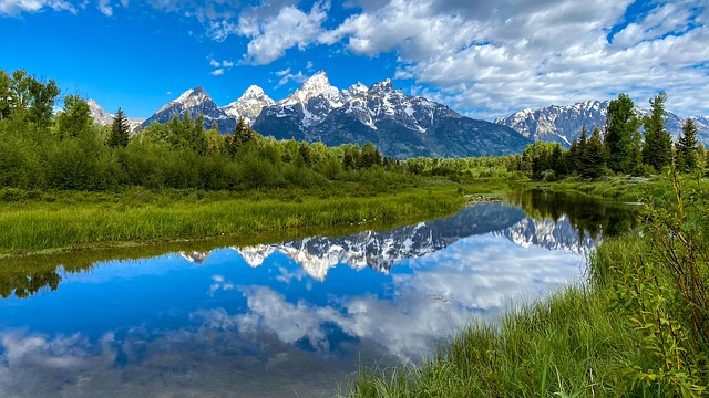 Andres Isaacson tweet media