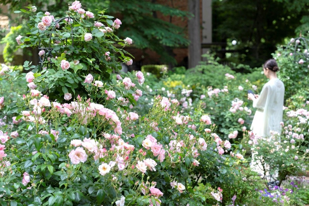 Fashion Press tweet media