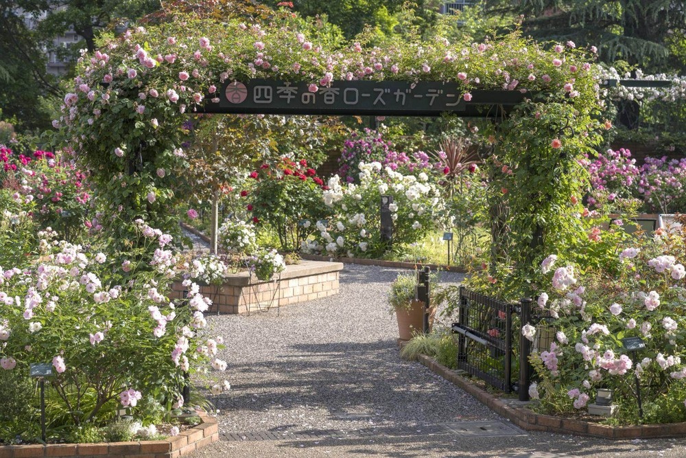 Fashion Press tweet media