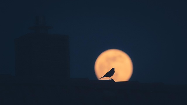 Bill Welch tweet media