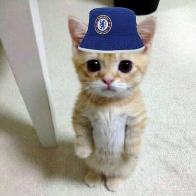 Shreyasee🪐 tweet media