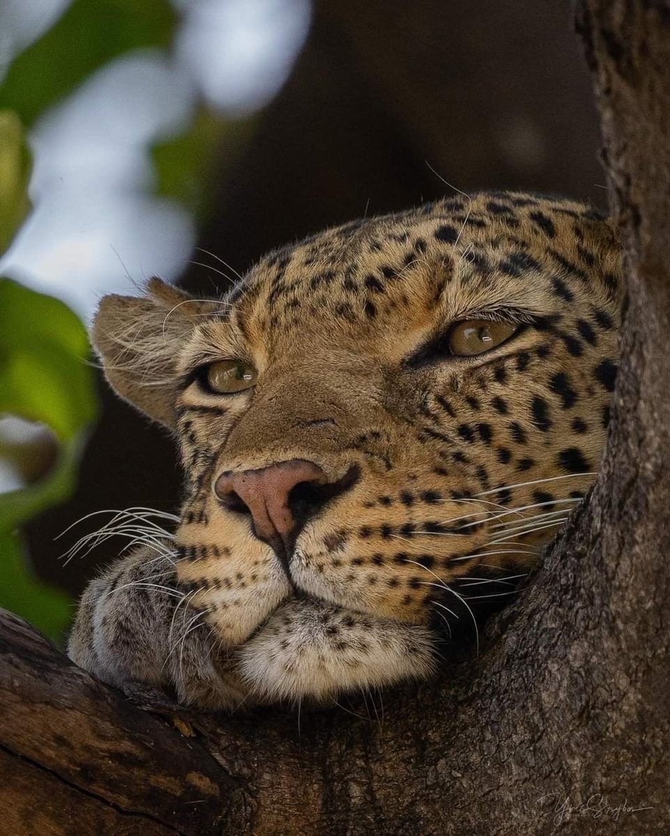 the culture 2.0 | magazine tweet media