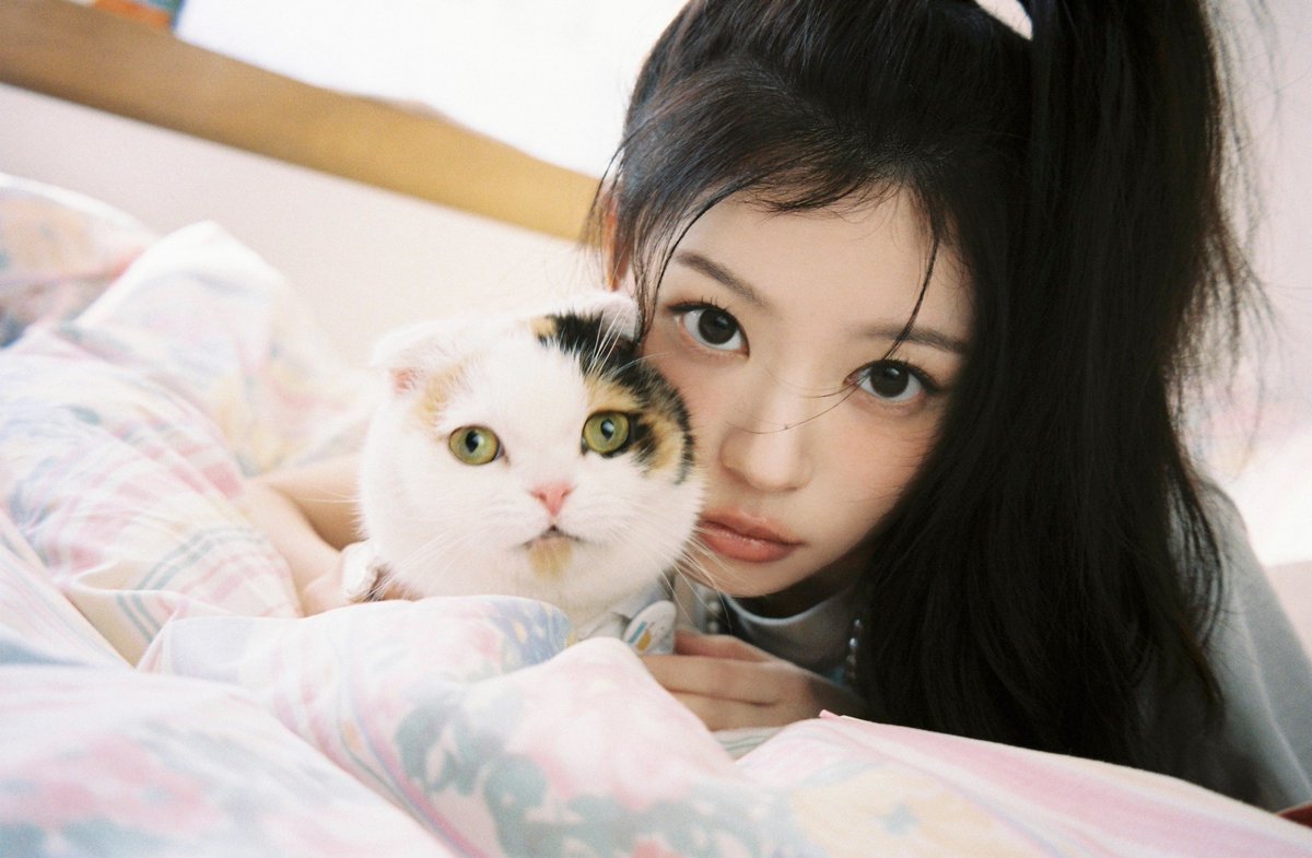 BELIFT LAB tweet media