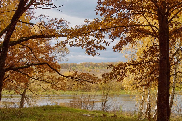 Jason Fairfield tweet media