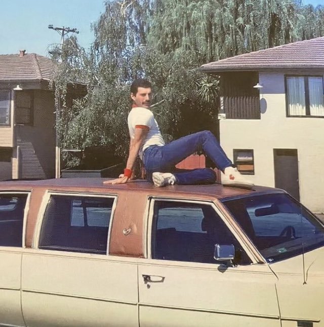 𝓟𝓻𝓪𝓲𝓼𝓮 🏂 tweet media