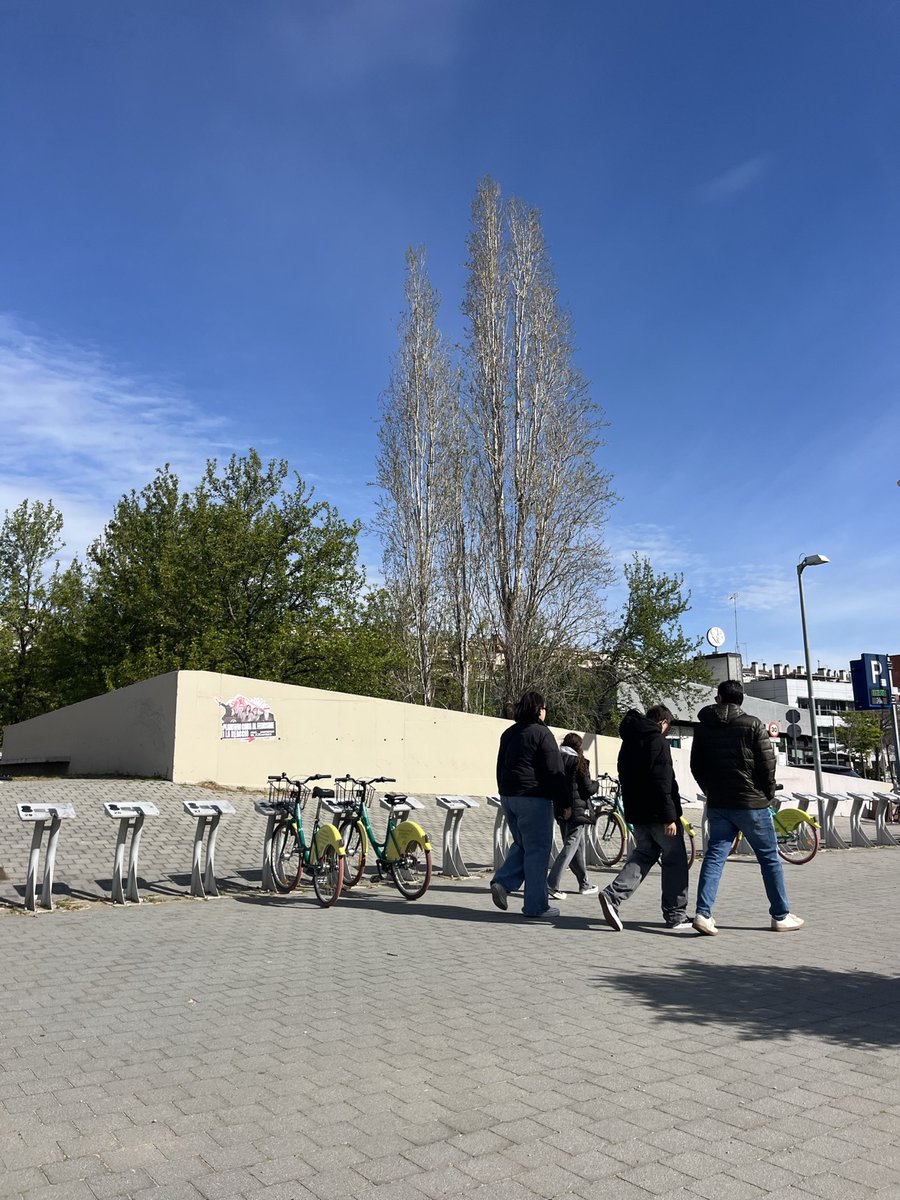 Gironès OJS tweet media