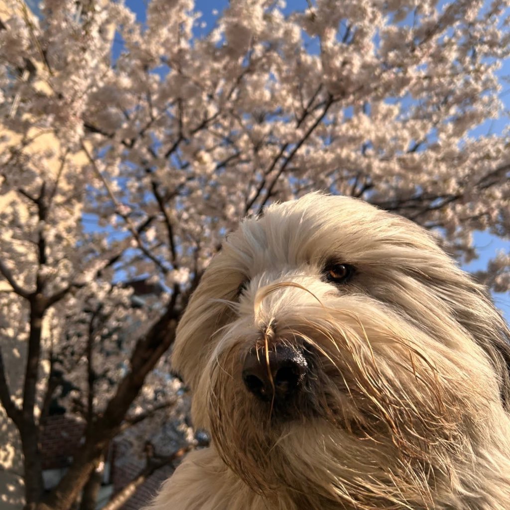 소뮤🍀 tweet media