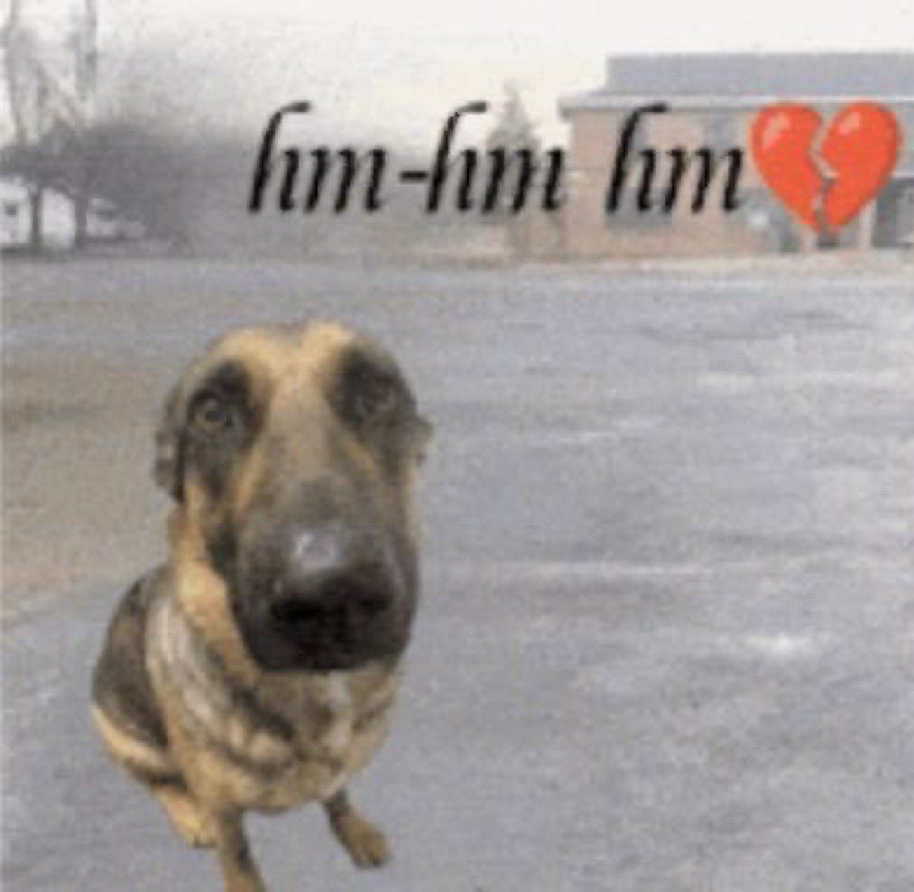 Voidxx 👻 tweet media