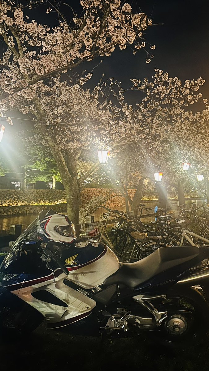 めりぱん tweet media