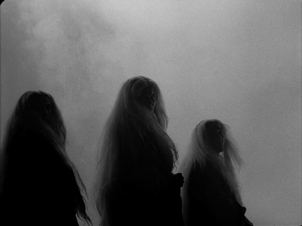 ๐๐ข๐ง๐๐ฆ๐ ๐๐ง๐ ๐๐ข๐ฌ๐๐๐ฆ๐๐๐ง๐จ๐ซ๐ฌ tweet media