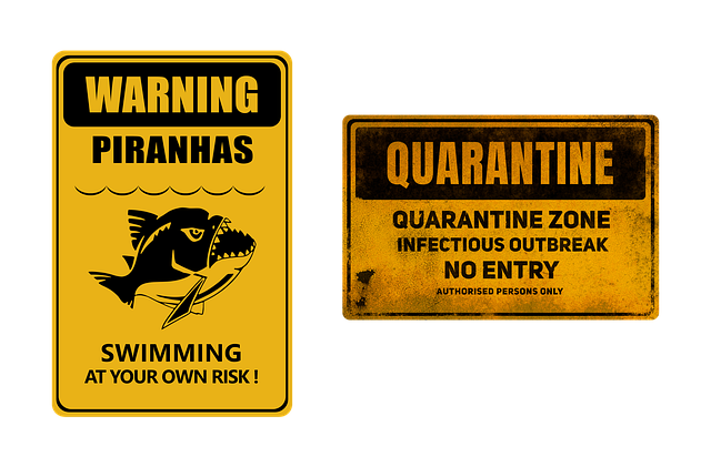 Sue Lewis tweet media