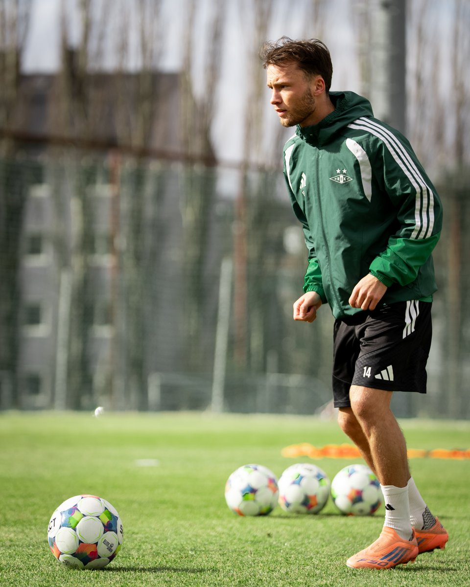 Rosenborg Ballklub tweet media