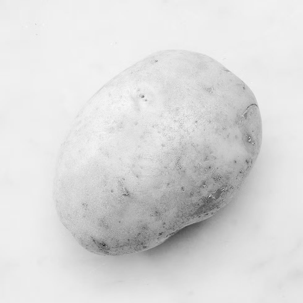 Nakayama333Festa tweet media