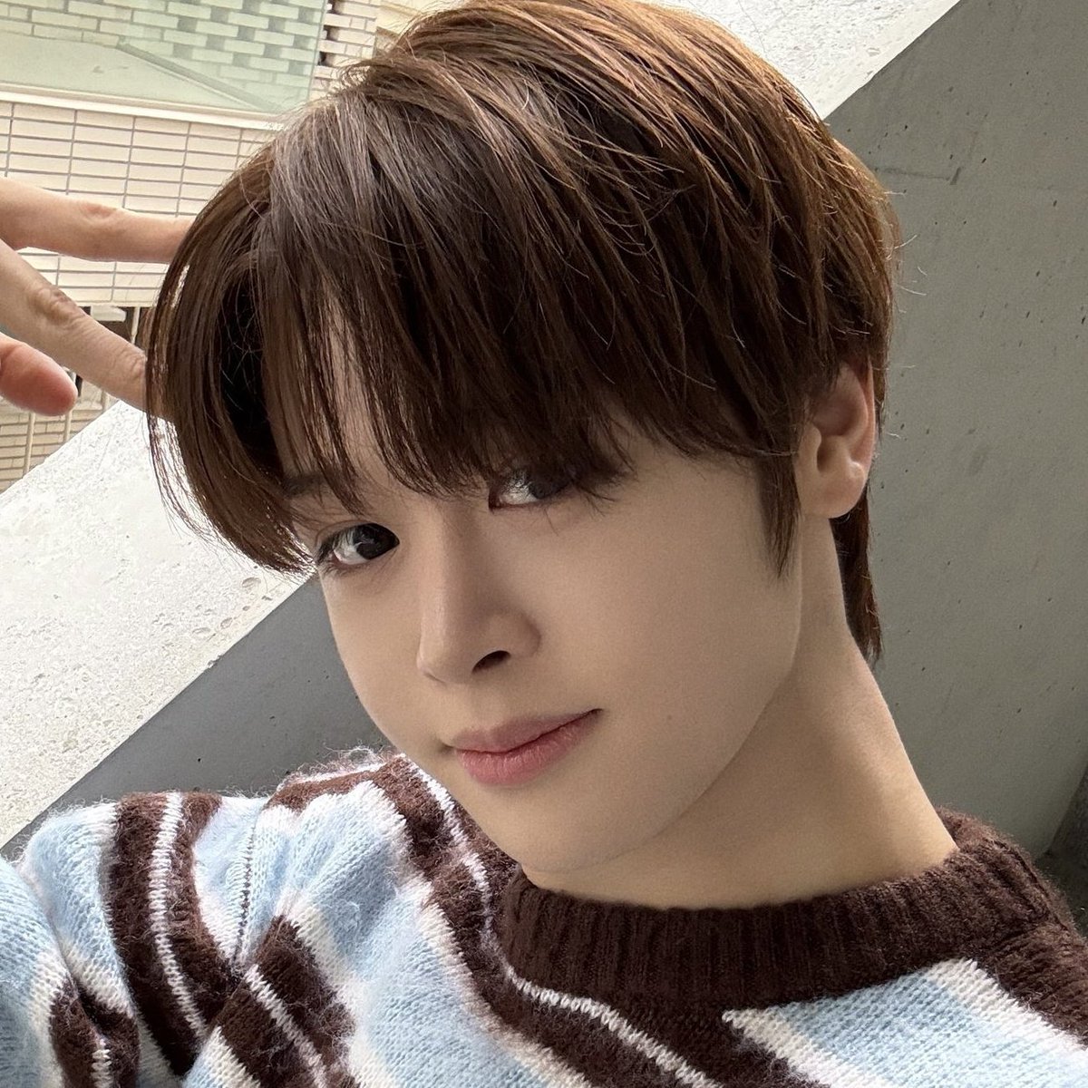 마징시앙 얼굴 tweet media