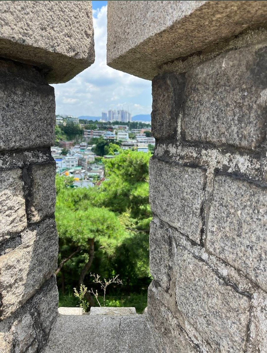 Mostafa Matar tweet media