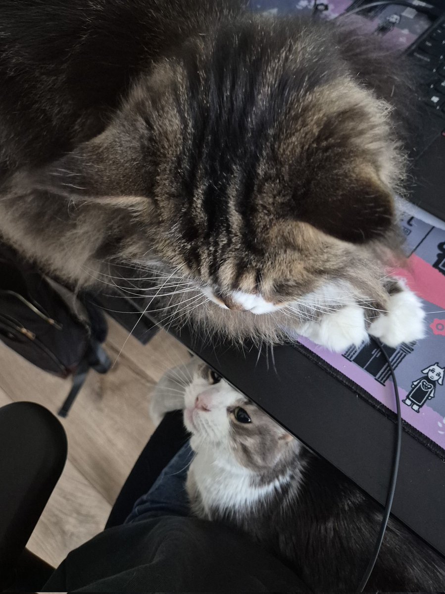 tomatotally sleepy tweet media