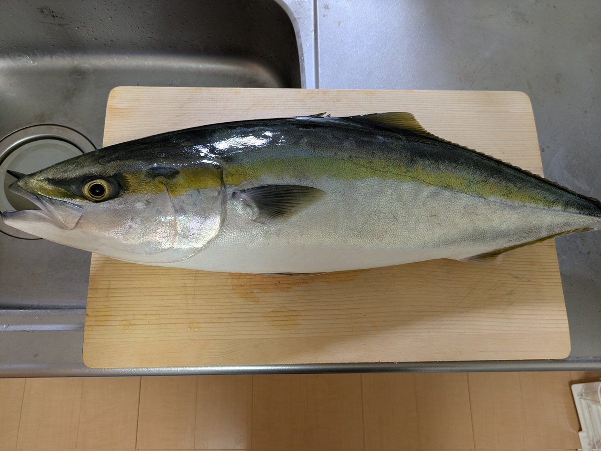 桜なみき tweet media