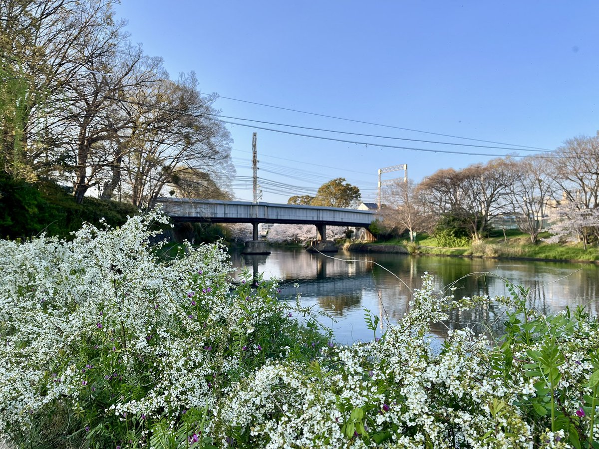 香枝 tweet media