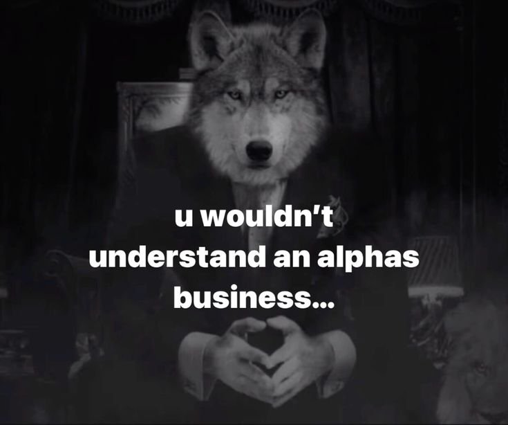 ilovejungkook tweet media