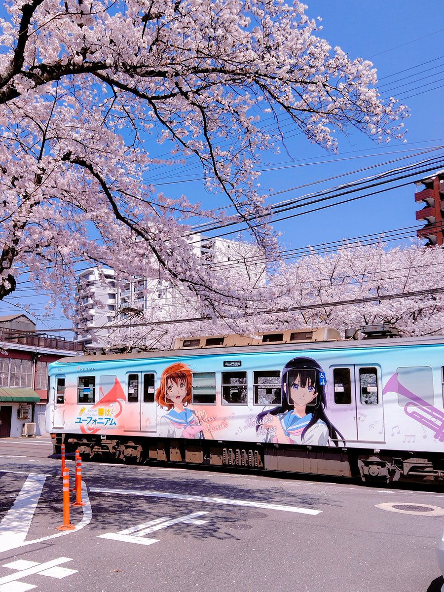 同時再生会ちゃん✨ tweet media