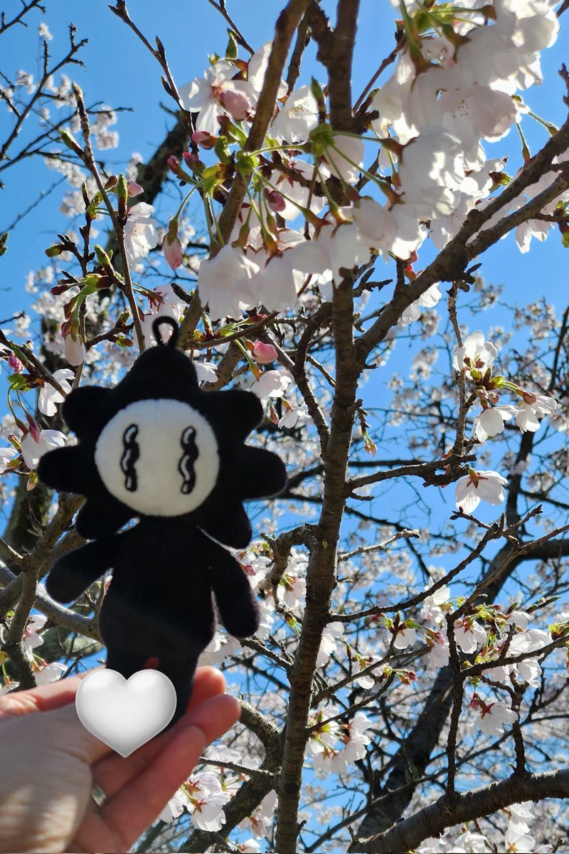 えみまよ(えむ🌼) tweet media