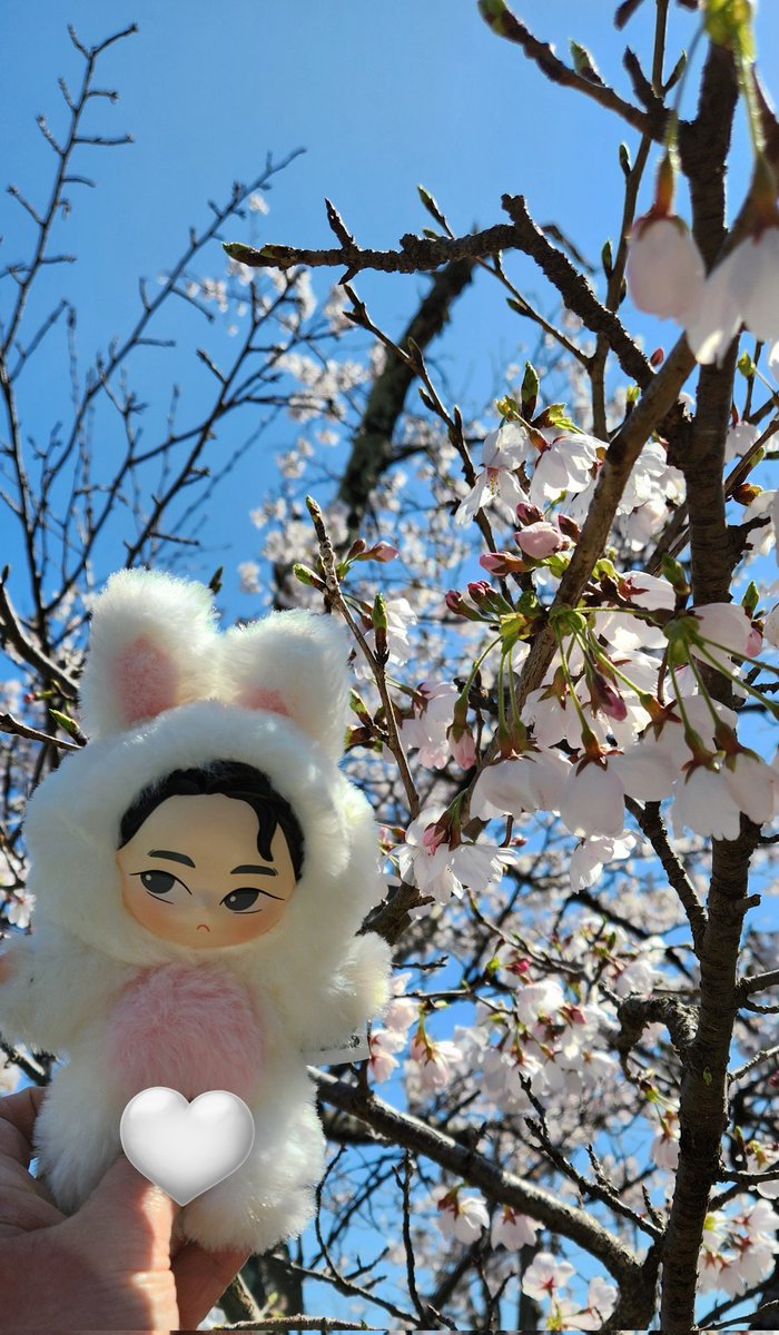 えみまよ(えむ🌼) tweet media