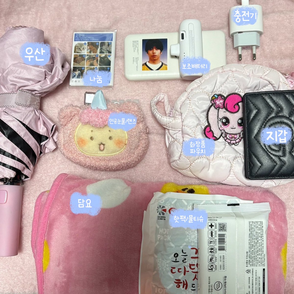 효효치 tweet media