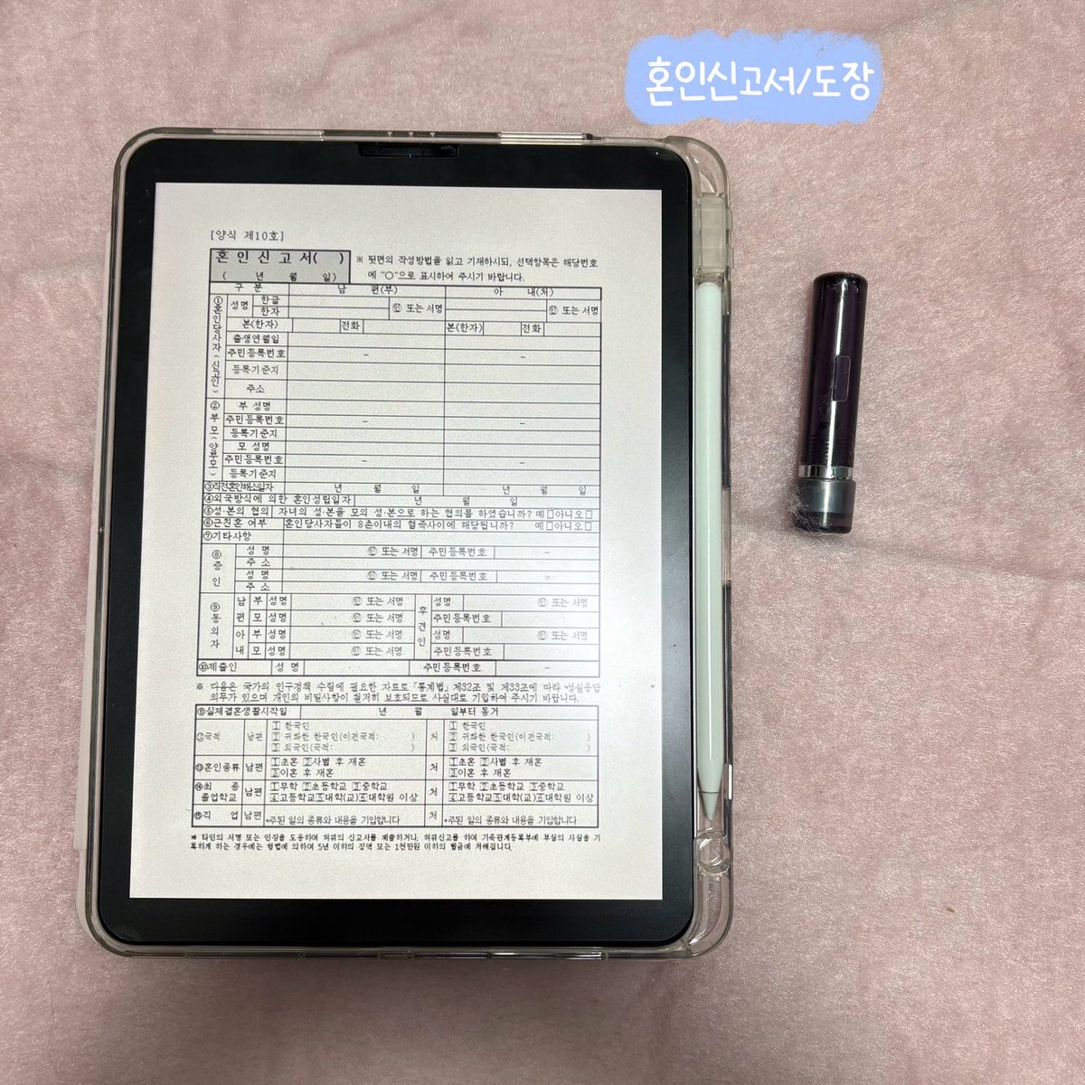 효효치 tweet media