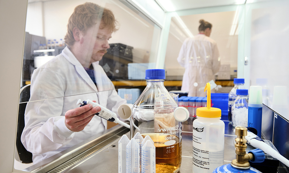 zuid_holland's tweet image. De kaas die je eet, het medicijn dat je slikt, kansen zijn groot dat er Delftse biotechnologie in zit. Biotech Campus Delft werkt aan duurzamere productie van voeding, medicijnen en materialen. De toekomst wordt hier gemaakt. 🔬👉bit.ly/41JGzRe  #Biotech #ZuidHolland