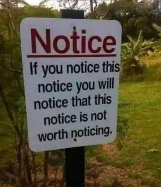 the garden gnome tweet media