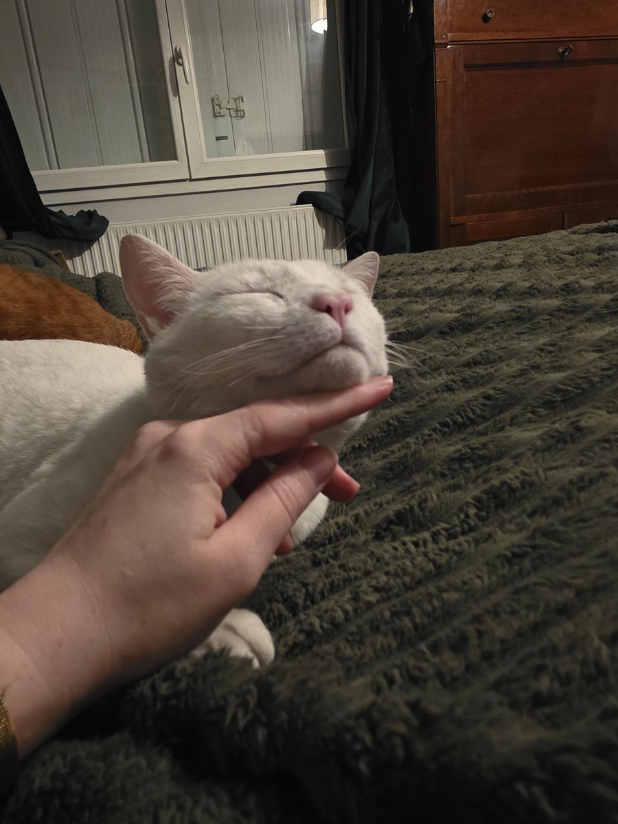 Morghn 🔞 tweet media