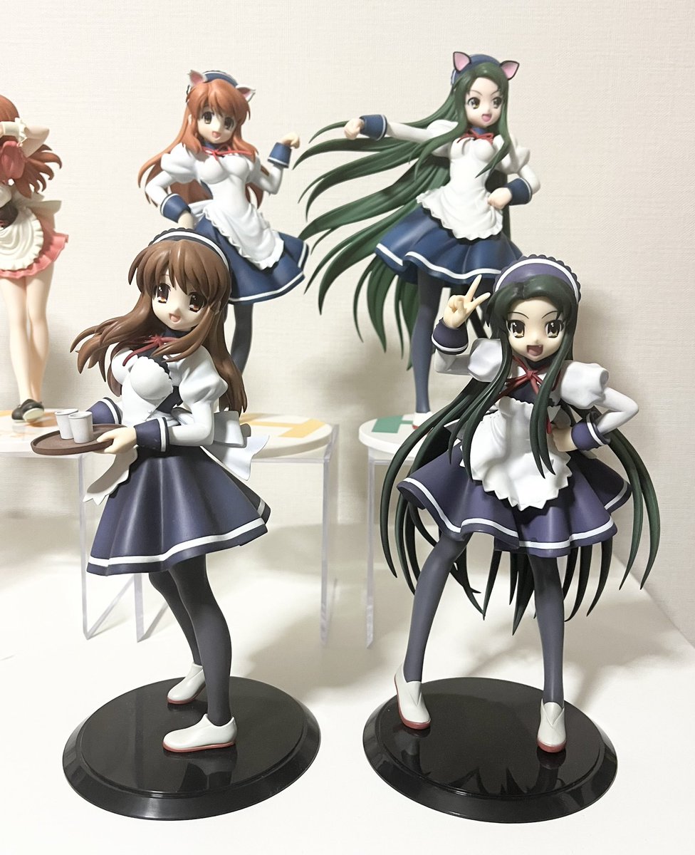 植物脂 (@mgrnmv) on Twitter photo 