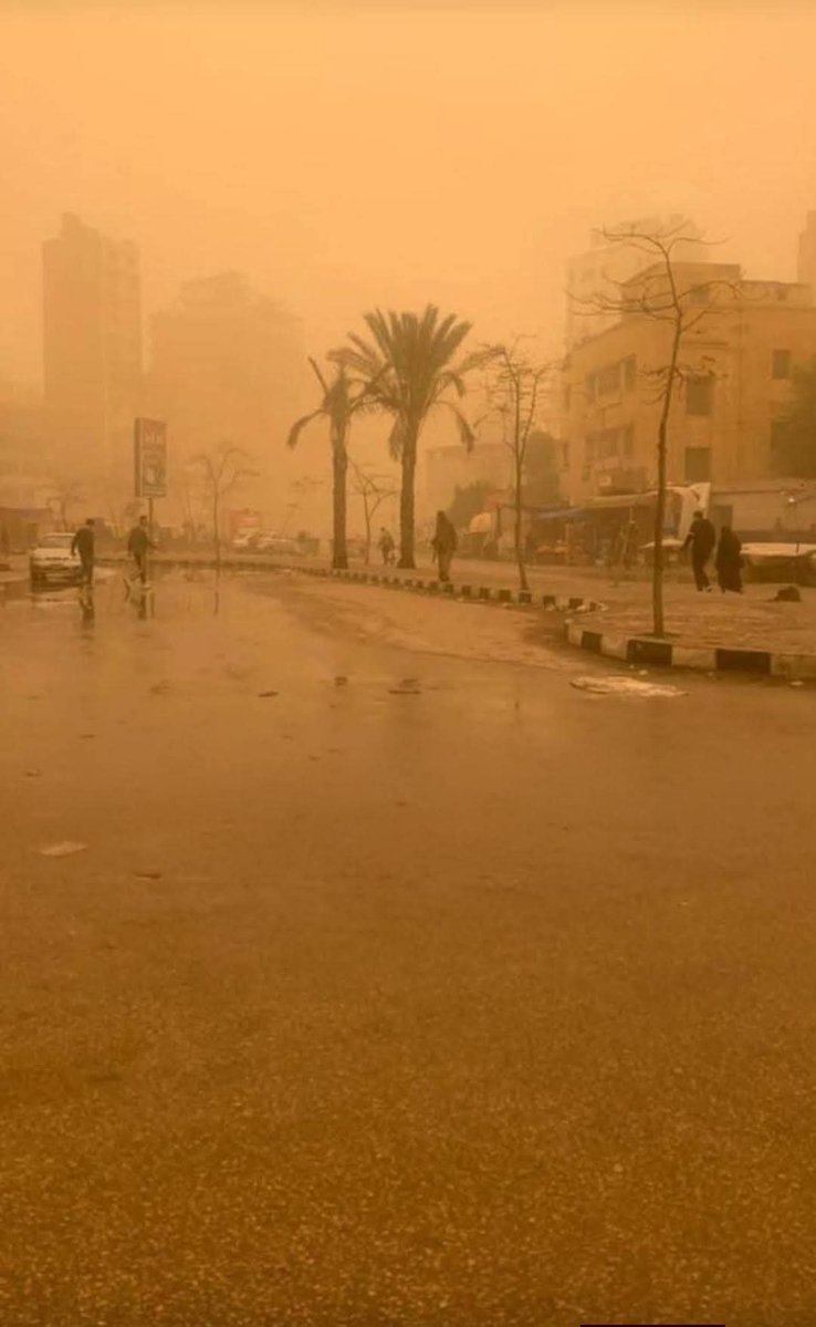 ★彡𝙃𝘼𝘿𝙔彡★💯 tweet media