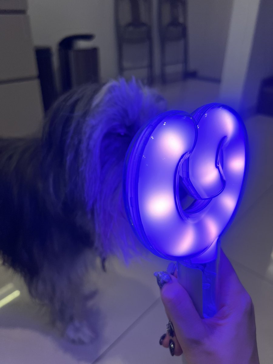 INDAHKUS tweet media