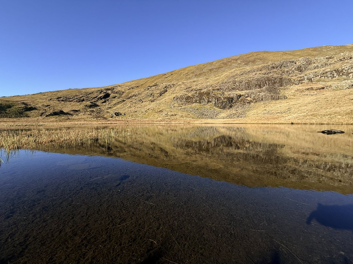 Ryan Browne tweet media